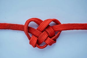 Knot of fear: is it an en-abler or dis-abler?